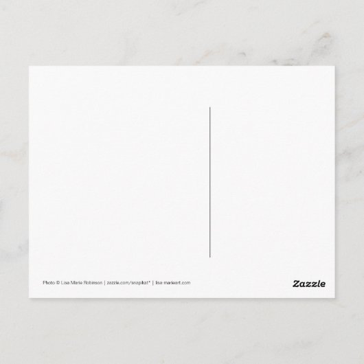 保CalmとDegu杭 ポストカード (裏面)