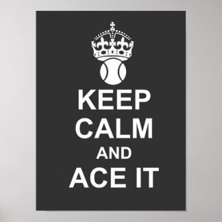 保Calm and Ace Itポスター ポスター