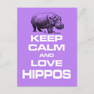 保Calm and Love Hippos Hippotamusおもしろいデザイン ポストカード