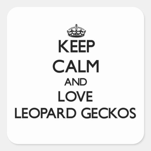 保Calm and Love Leopard Geckos スクエアシール (正面)