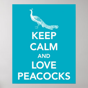 保Calm and Love Peacocks ポスター