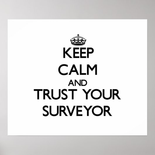 保Calm and Trust Your Surveyor ポスター (正面)