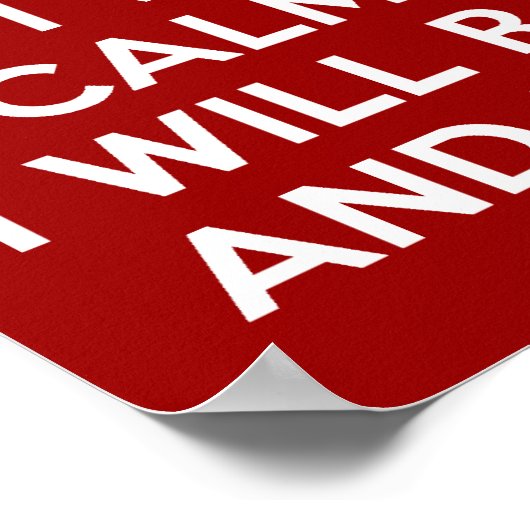 保Calm Raise Hell and Break物 ポスター (角)