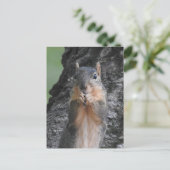 保Touch |かわいいおもしろいリス ポストカード (スタンド正面)