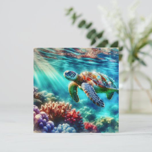 保Touch | ウミガメ泳ぎ (スタンド正面)