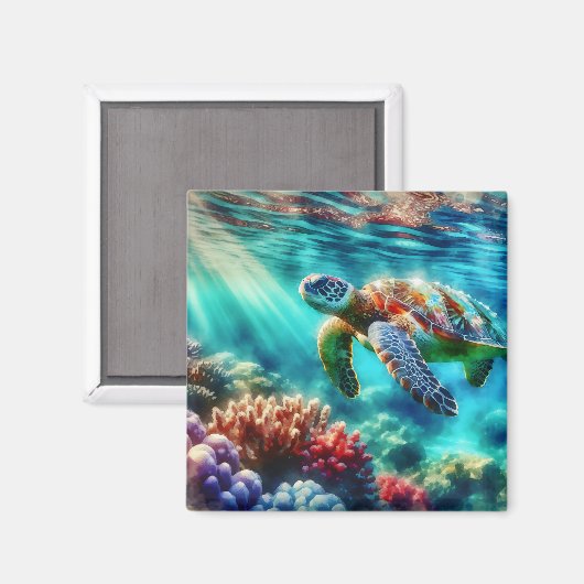 保Touch | ウミガメ泳ぎ マグネット (正面/裏面)