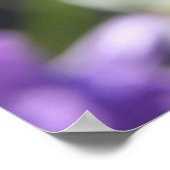 信かわいらし教に関する聖書の開花 ポスター (角)