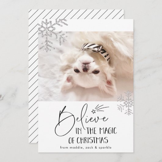 信じて | ペットの写真 シーズンカード (正面/裏面)