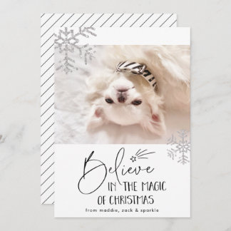 信じて | ペットの写真 シーズンカード