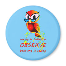 信じふくろうの磁石が見える