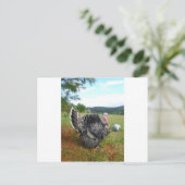 信じられないい七面鳥 ポストカード (スタンド正面)