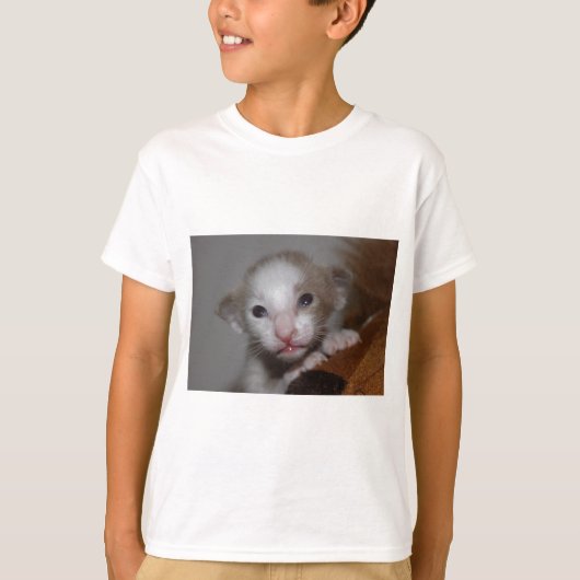 信じられないほどかわいい赤ちゃん子猫 Tシャツ (正面)