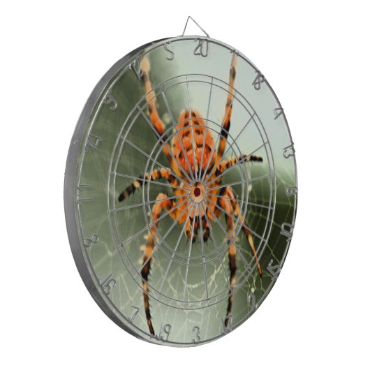 信じられないほどのスパイダーボード ダーツボード (正面左)