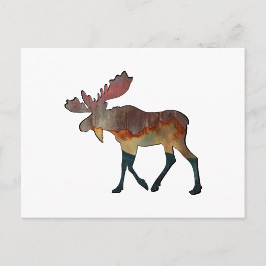 信じられないほどの旅 ポストカード (正面)