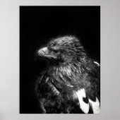 信じられないほどの素晴らしイーグル詳細のスケッチアート ポスター (正面)