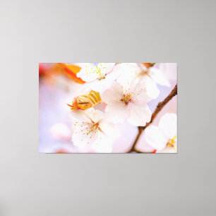 信じられないほどの美しいの桜の花春 キャンバスプリント