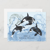 信じられないほど美しいモノクロの水彩色のオルカ ポストカード (正面/裏面)