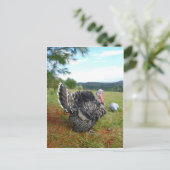 信じられないタートル(またはコップ?)たち ポストカード (スタンド正面)