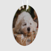信じパーソナライズされた写真 オーナメント (正面)