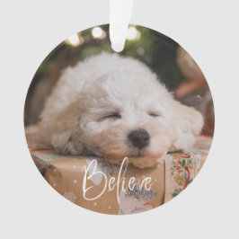 信じパーソナライズされた写真 オーナメント