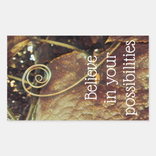 信じ可能性のシール 長方形シール (正面)