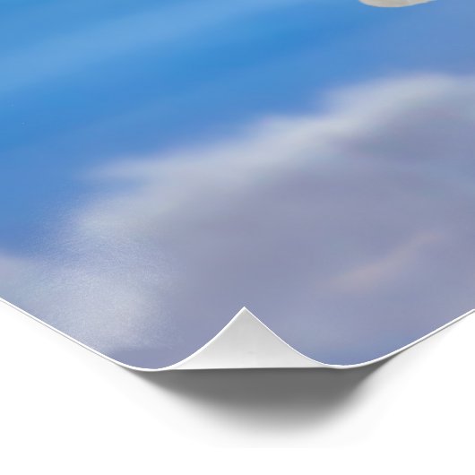 信じ奇跡で ポスター (コーナー)