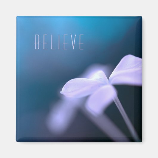 信じ平方磁石 マグネット (正面)