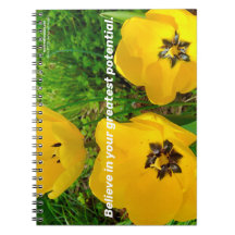 信じ素晴らし君の潜在能力で