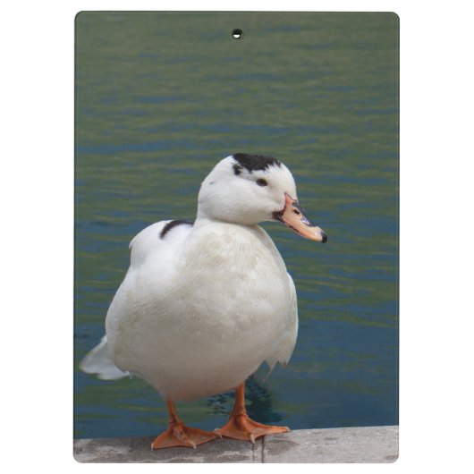 信じ自分で感動的 クリップボード (裏面)