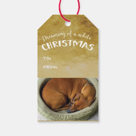 信じ魔法 ギフトタグ (裏面)