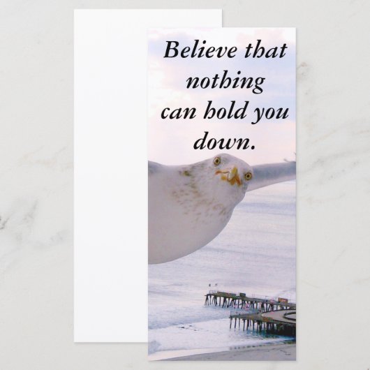 信じ (正面/裏面)