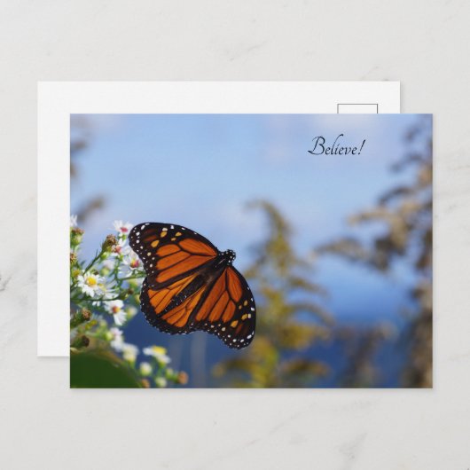 信じ! ポストカード (正面/裏面)