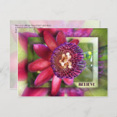 信じ ポストカード (正面/裏面)