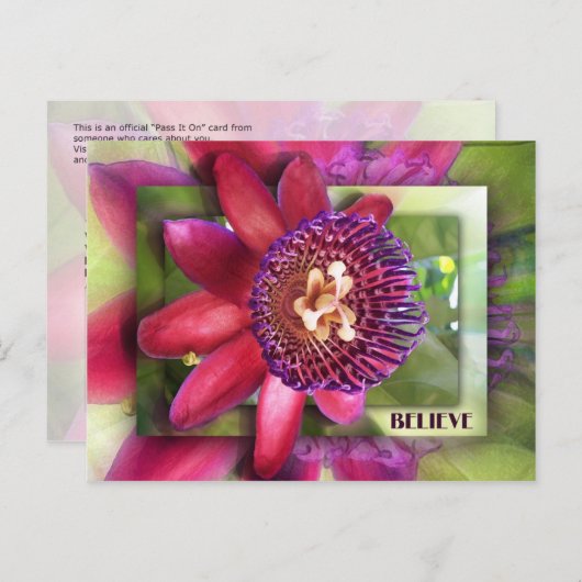 信じ ポストカード (正面/裏面)