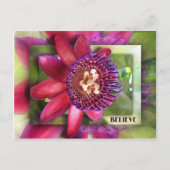 信じ ポストカード (正面)