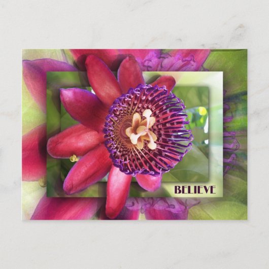 信じ ポストカード (正面)