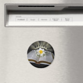 信じ マグネット (インサイチュ (食洗機))