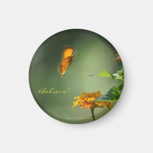 信じ! マグネット (正面)