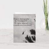 信じ! – 蜘蛛の庭 カード (裏面)