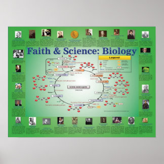 信仰と科学:生物学(クレブスサイクル) ポスター