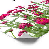 信仰のポスター ポスター (角)