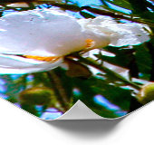 信仰のポスター ポスター (角)