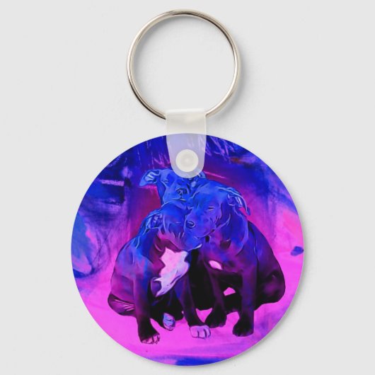 信仰の希望と慈善団体、虐待されたピットブルドッグ キーホルダー (正面)