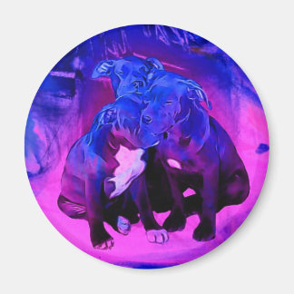 信仰の希望と慈善団体、虐待されたピットブルドッグ マグネット