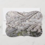 信仰の希望の愛信じ運命の運命の 招待状 (裏面)