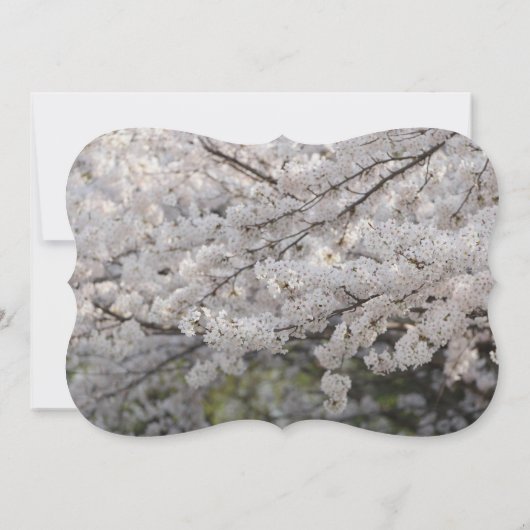 信仰の希望の愛信じ運命の運命の 招待状 (裏面)