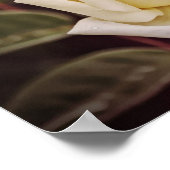 信仰の花イザヤ26:3アートポスター ポスター (角)