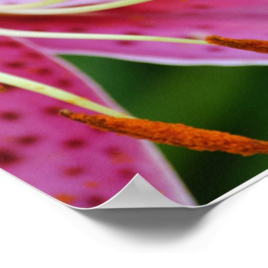 信仰の花イザヤ40:8アートポスター ポスター (角)