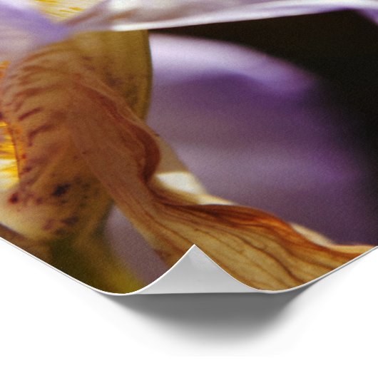 信仰の花イザヤ60:1アートポスター ポスター (角)