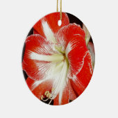 信仰の花2コリントAmaryllisオーナメント セラミックオーナメント (右)